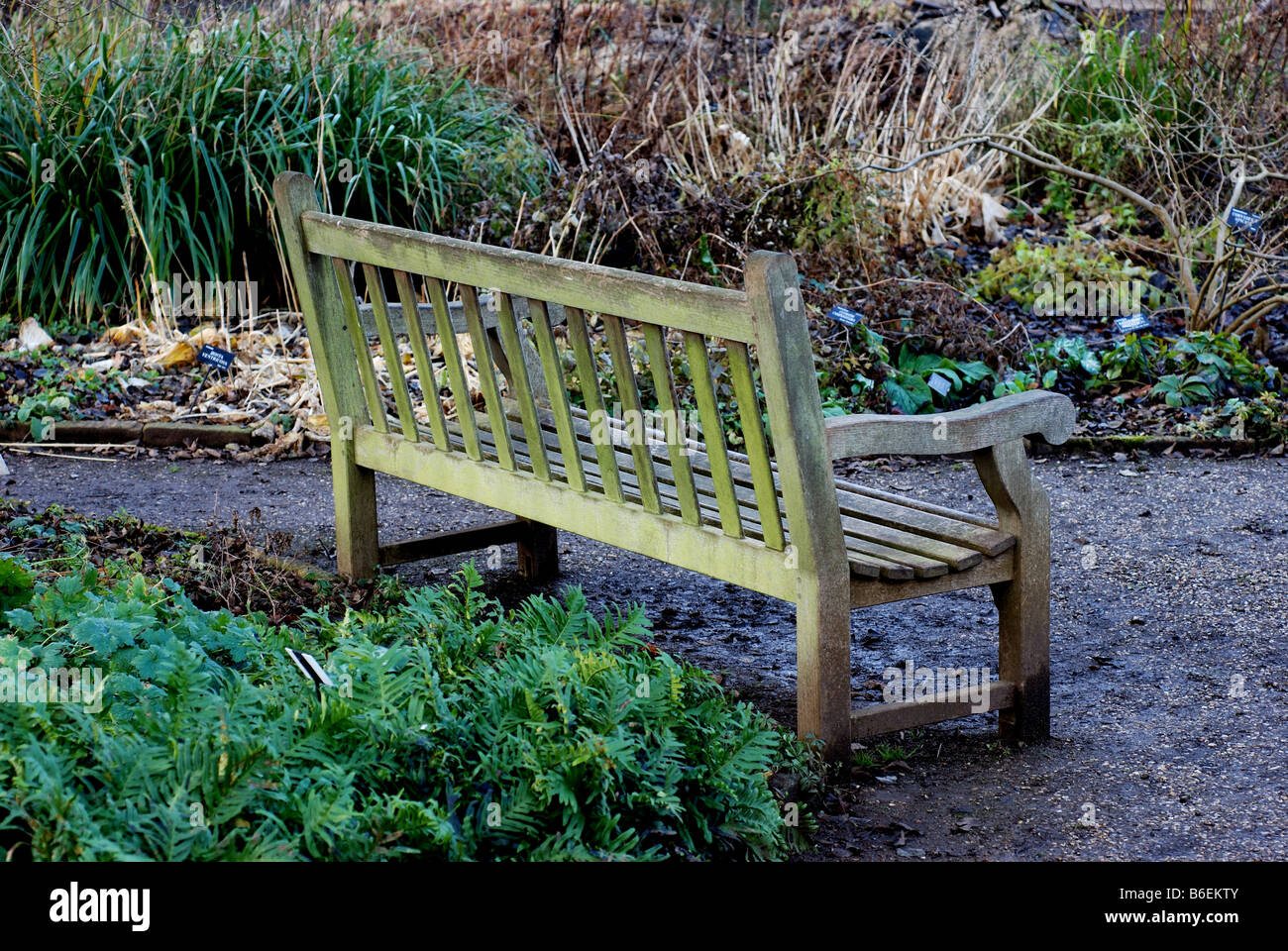 Lyra`s bench in Oxford Botanic Garden, Oxfordshire, England, UK Stock Photo